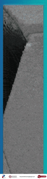 160x600